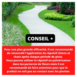 Acto - chiens 鈥épulsif - pulverisateur de 600ml Discount