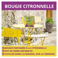 Acto - Bougies citronnelle: ambiance et sécurité pour vos soirées Best