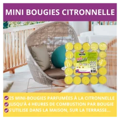 Acto - Lot de 25 bougies citronnelle compactes: protection 4 heures contre les moustiqu Outlet