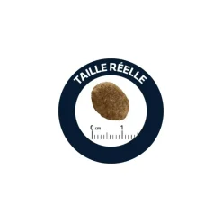 Advance Alimentation Et Friandises | - diet croquettes chat urinary low calories 2,5 kg