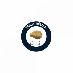 Advance Alimentation Et Friandises | - Croquettes chat adulte sensitive sterilized saumon - 10 kg