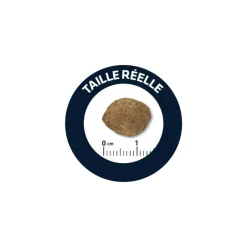 Advance - Croquettes chien maxi light - 12 kg Sale