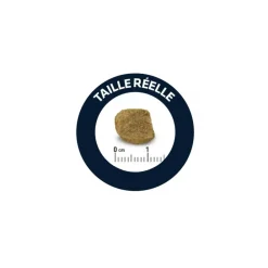 Advance Alimentation Et Friandises | - Croquettes chien maxi senior - 12 kg
