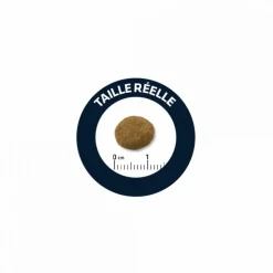 Advance - Croquettes chien maxi puppy - 3 kg