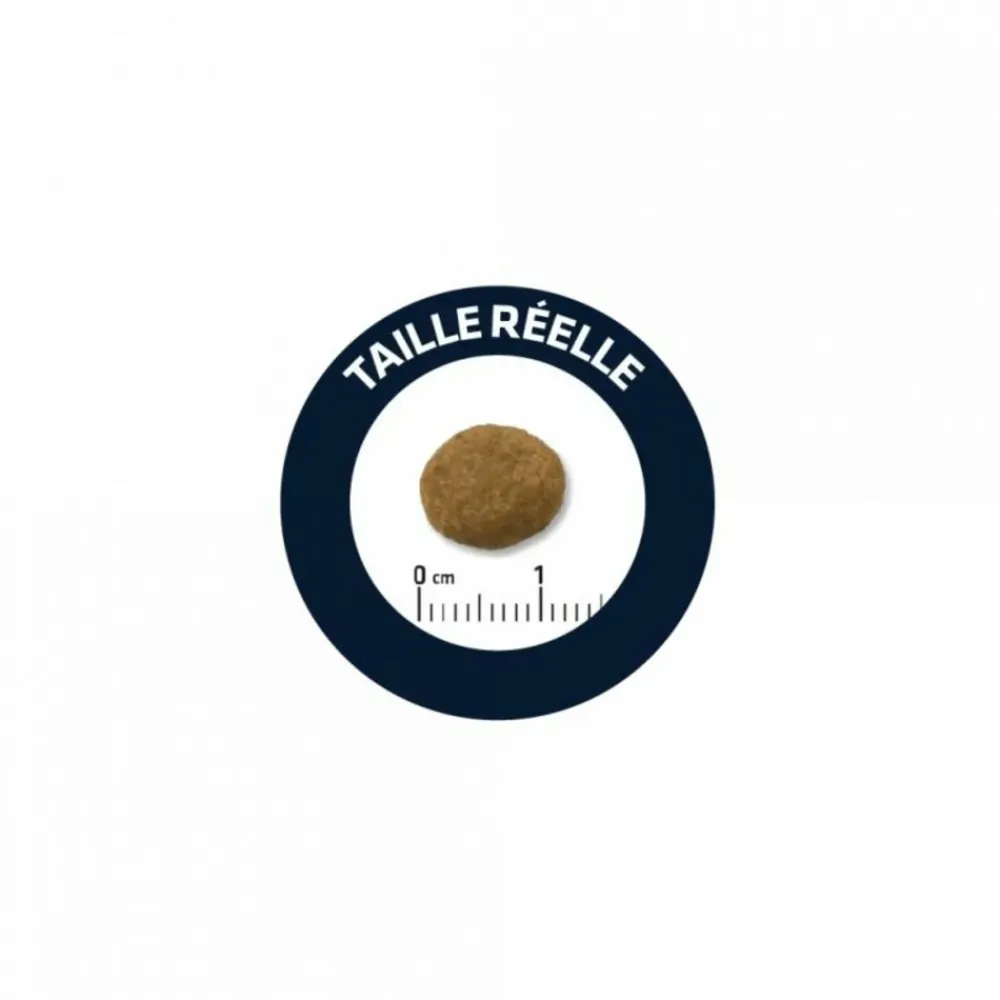 Advance - Croquettes chien maxi puppy - 3 kg