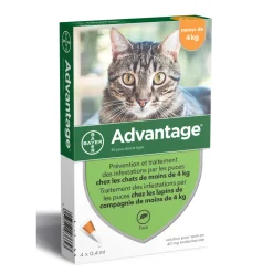 Advantix - Antiparasitaire pour chat/lapin de moins de 4 kilos : 4 pipettes Outlet