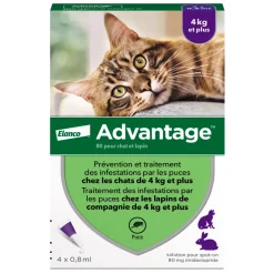 Advantix Hygiène Et Soins | - Antiparasitaire pour chat/lapin de plus de 4 kilos : 4 pipettes
