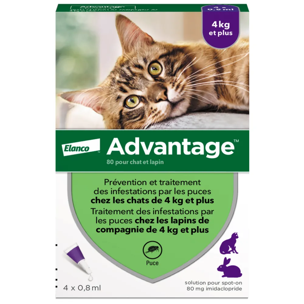 Advantix Hygiène Et Soins | - Antiparasitaire pour chat/lapin de plus de 4 kilos : 4 pipettes