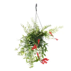 NA Aeschynthus : suspension Ø15cm Outlet