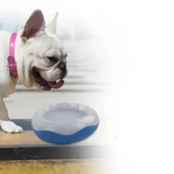 Afp Gamelles Et Autres Accessoires | - Bol réfrigérant pour chien chill out