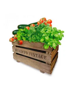 Agreen - Boîte de verger vintage eco
