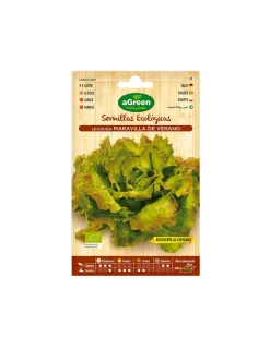Agreen - 10 envelope of eco seeds salad maravilla Discount