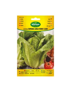 Agreen - Graines laitue roma verte longue 000440bolsh - Clearance