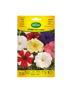Agreen Graines De Légumes Et Aromatiques | - À propos de la variété graines de pétunia compactes 300678bolsh daccord -