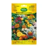 Agreen Graines De Légumes Et Aromatiques | - À propos des graines fleurs mélangées roches et bords 300595bolsh daccord -