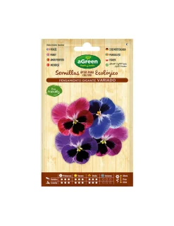 Agreen Graines De Légumes Et Aromatiques | - 10 sachet de graines pansy géant d'accord