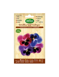 Agreen Graines De Légumes Et Aromatiques | - 10 sachet de graines pansy géant d'accord