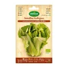 Agreen - 10 sachet eco laitue maravilla . Online