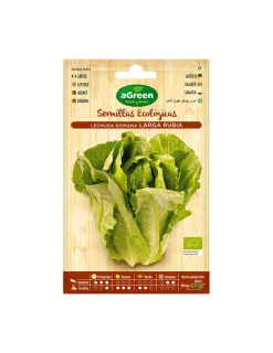Agreen - 10 sachet eco laitue maravilla . Online