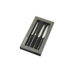 NA Amefa coffret de 4 couteaux à steak - 4918aamb02br4 Sale