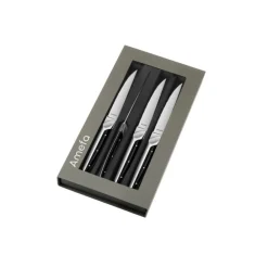 NA Cuisine Et Arts De La Table | Amefa coffret de 4 couteaux à steak - 2540aamb02br4