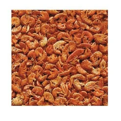 Animallparadise - Gammarus, aliment naturel pour aquariophilie 100 g pour tortues d'eau New