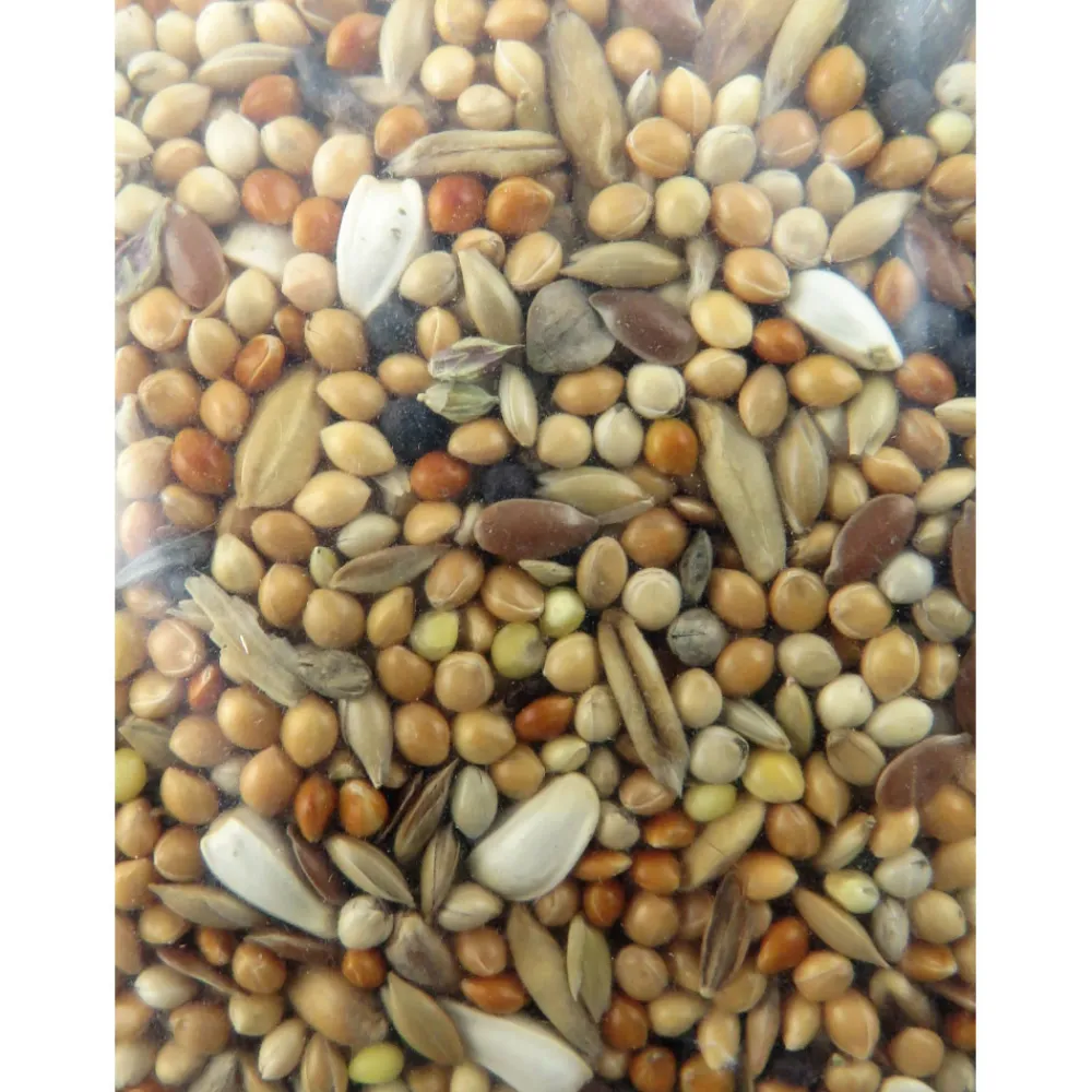 Animallparadise Alimentation | - Graines grandes perruches nutrimeal - 12kg.