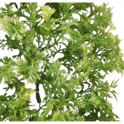 Animallparadise - Plante décorative en plastiques imitation érable australien d'environ 46 cm New