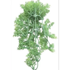 Animallparadise - Plante décorative en plastiques imitation érable australien d'environ 46 cm New