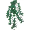 Animallparadise - Plantes décorative imitation phyllo mexicain d'environs 56 cm Discount