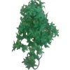 Animallparadise - Plantes décorative imitation lierre du congo d'environ 36 cm Clearance
