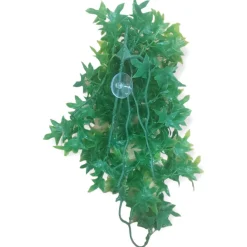 Animallparadise - Plantes décorative imitation lierre du congo d'environ 36 cm Clearance