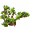 Aqua D'ella - Décoration d'aquarium12 taillexl 33,5x16x27,5cm 234/432167 Outlet