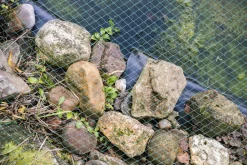 Aquagart Bassins Et Fontaines | - Filet de bassin 8 m x 16 m filet à feuilles, filet, filet de protection contre les feuilles, robuste