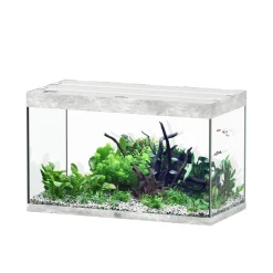 Aquatlantis - Aquarium Sublime Led 2.0 Pro Béton L.100x P.50x H.60cm Clearance