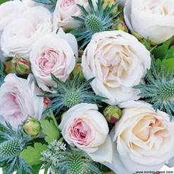 Arborix - Kordes parfuma® rosier - rosa 'madame anisette'® Discount