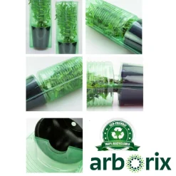 Arborix - 2 x rose classique - rosa 'witte tros' Clearance