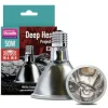 Arcadia - Lampe à résistance chauffante - deep heat projector 80w - chauffage pour reptiles en terrarium Sale