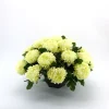 Arche Diffusion - Coupe de chrysanthèmes artificiels, 28 fleurs- Blanc New