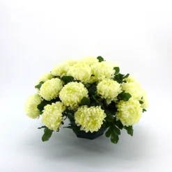 Arche Diffusion - Coupe de chrysanthèmes artificiels, 28 fleurs- Blanc New
