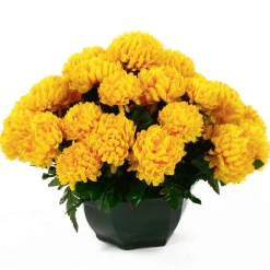Arche Diffusion - Coupe de chrysanthèmes artificiels, 28 fleurs - Jaune New