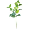 Arche Diffusion - Fleur artificielle tige feuillage fittonia blanc H.66cm Best