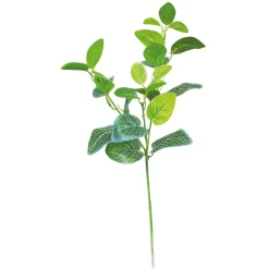 Arche Diffusion - Fleur artificielle tige feuillage fittonia blanc H.66cm Best