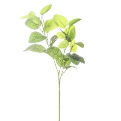 Arche Diffusion - Fleur artificielle tige feuillage fittonia blanc H.66cm Best