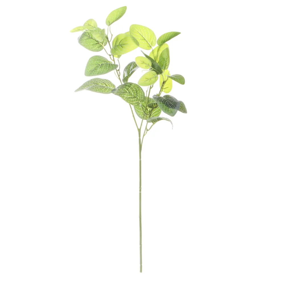 Arche Diffusion - Fleur artificielle tige feuillage fittonia blanc H.66cm Best