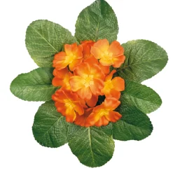Arche Diffusion - Fleurs artificielles - bouquet de primevères Sale