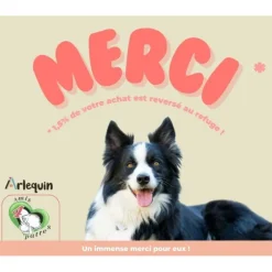 Arlequin Originelle - Croquette chien sans céréales light saumon truite 2 kg Discount