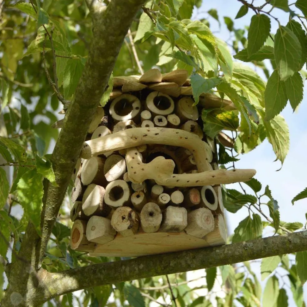 Artxlight Oiseaux Du Jardin | - Nichoir demi-rond en bois d'albésia à accorcher