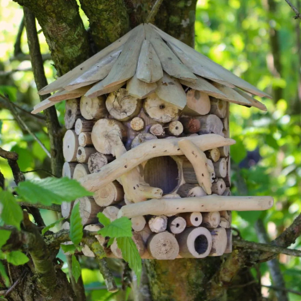 Artxlight Oiseaux Du Jardin | - Nichoir demi-rond en bois d'albésia à accorcher