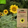 Association Kokopelli - Graines bio à semer - tournesol à graines arikara Clearance